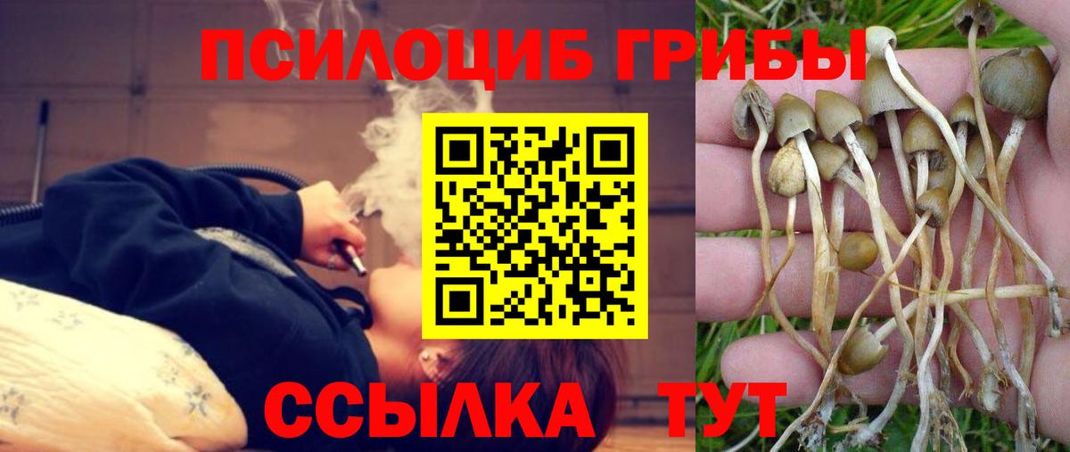 Псилоцибиновые грибы прущие грибы Чистополь