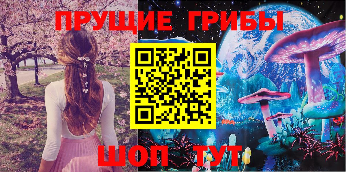 дарнет шоп  Вход с VPN  Чистополь  Псилоцибиновые грибы Psilocybine cubensis 